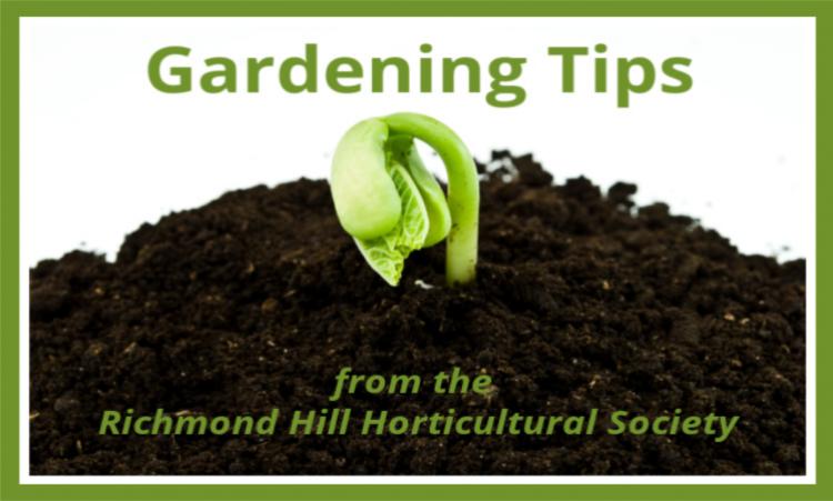 Gardening Tips