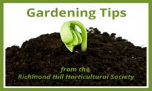 Gardening Tips
